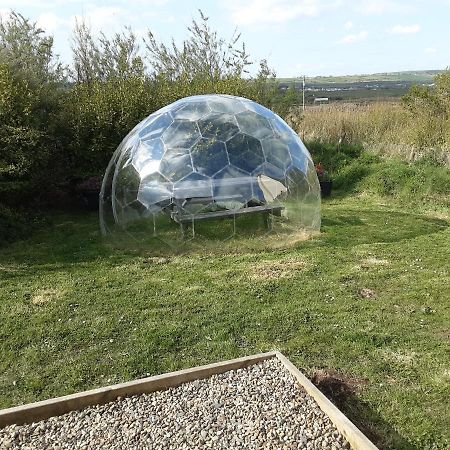 The Rainbow Pod Villa Milltown Malbay Eksteriør billede