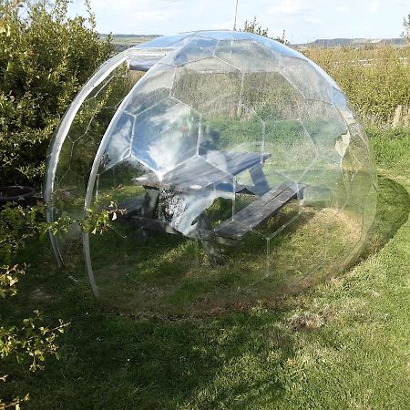 The Rainbow Pod Villa Milltown Malbay Eksteriør billede