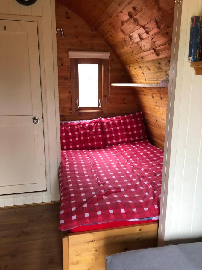 The Rainbow Pod Villa Milltown Malbay Eksteriør billede