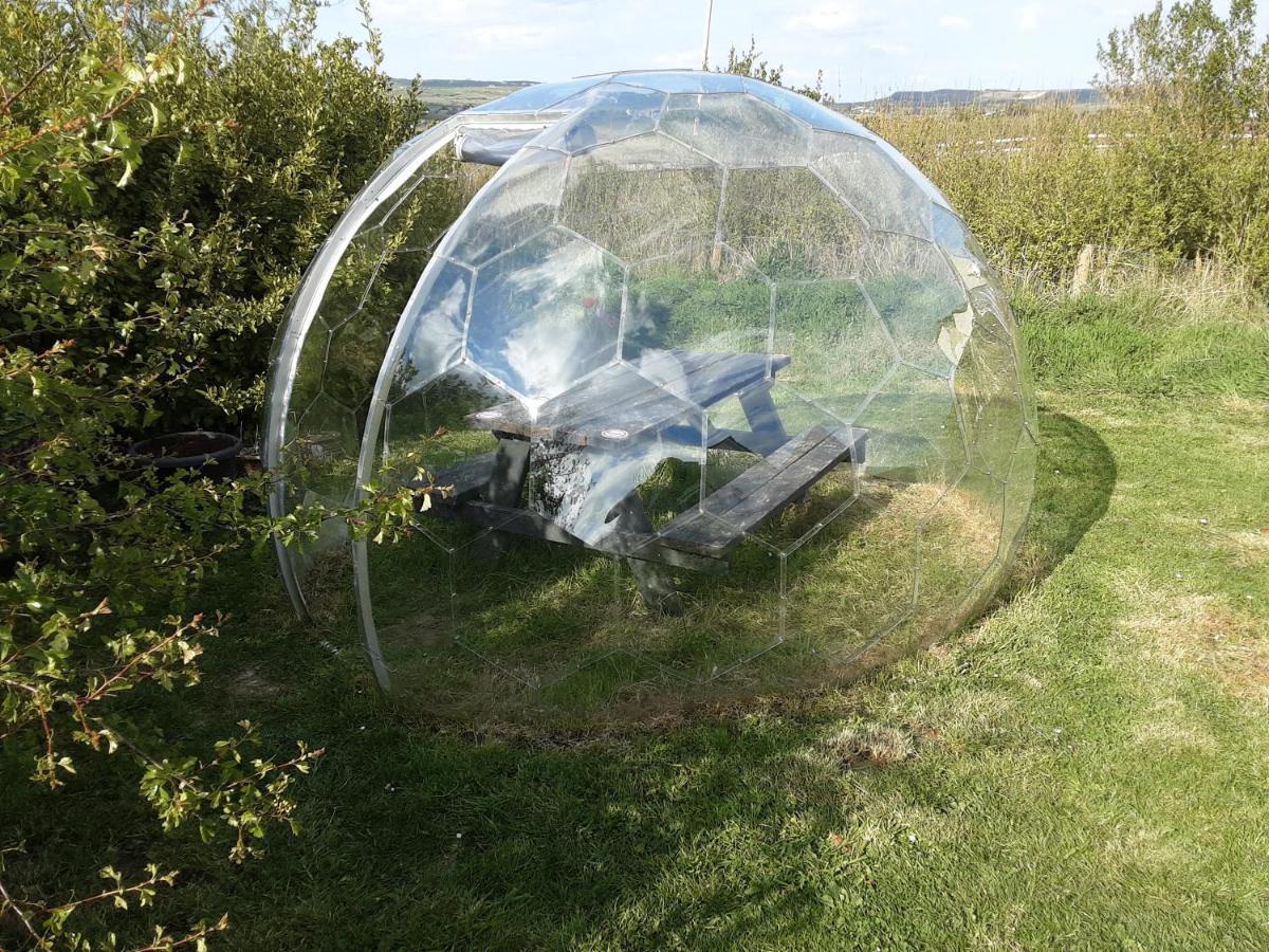 The Rainbow Pod Villa Milltown Malbay Eksteriør billede